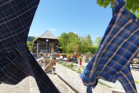 Waschtag &amp; Traktoren