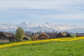 Randonnée autour d&#039;Affoltern i.E.