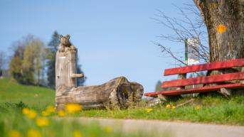 randonnées autour d'affoltern i.E.